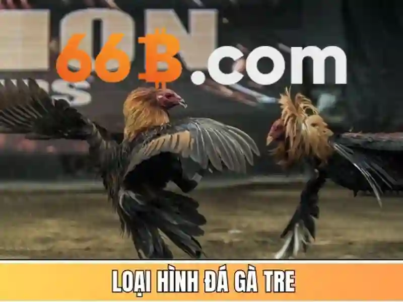 Ví dụ thực tế về 66b trong các hệ thống máy tính