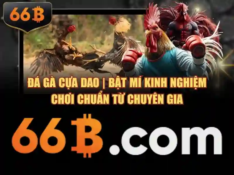 sources shein 66b may: tổng quan, ứng dụng và hành trình phát triển