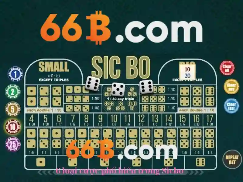 66B: Nguồn gốc và ý nghĩa trong công nghệ hiện đại