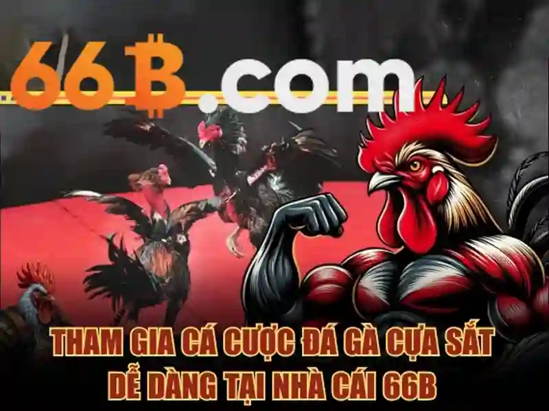 66b chính thức: Lộ trình thương hiệu và trải nghiệm người dùng