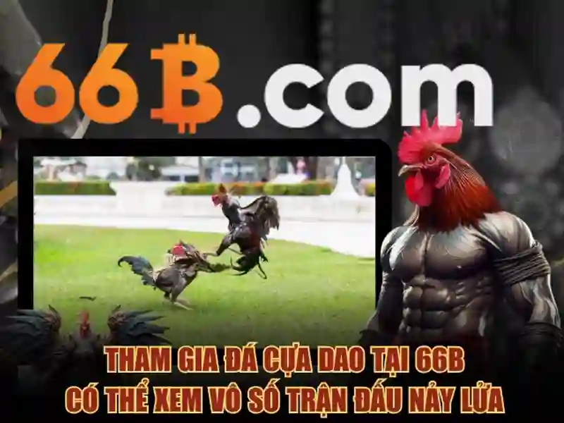 66b nguyễn sỹ sách p15 quận tân bình là gì - tổng quan