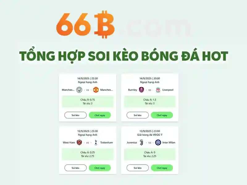 Cách hoạt động của 66B