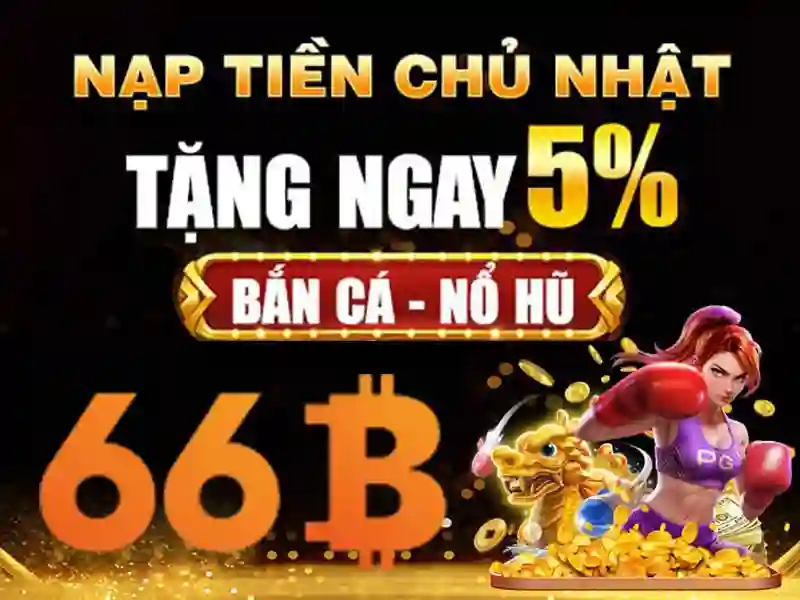 66b it act – Tổng quan và Giá trị cốt lõi