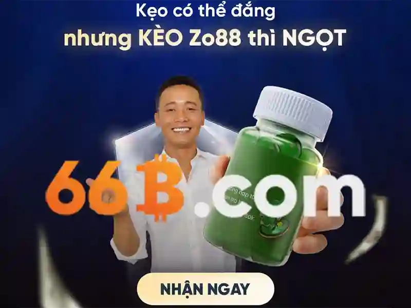 Đánh giá 66b – Khám phá chi tiết sản phẩm và trải nghiệm
