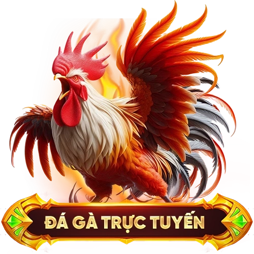 đá gà trực tuyến 66B